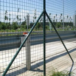 安平县鑫飞金属制品厂 专业养殖围栏与护栏网报价方案